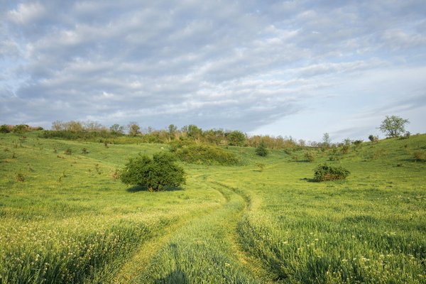 Quels sont les critères pour sélectionner une croisière responsable et écologique ?